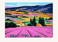 Provence : champs de lavandes